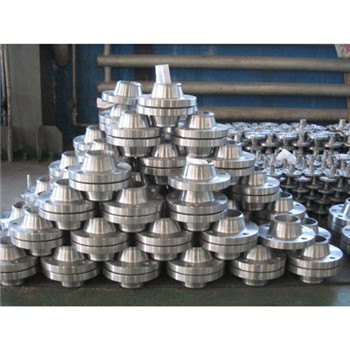 DN10-DN2000 ASTM / DIN Standard Ss A182 304L 316L Kovaná ocelová příruba 